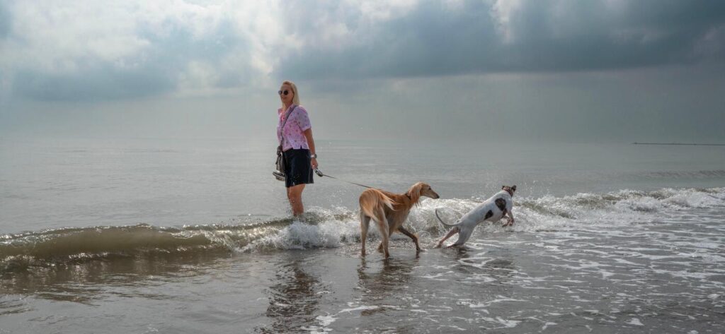 Die Nähe zum Strand war besonders wichtig, denn Belinda und James lieben die Spaziergänge mit ihren beiden Windhündinnen.