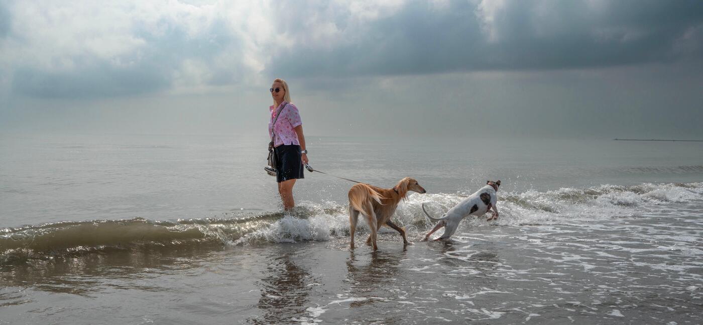 Die Nähe zum Strand war besonders wichtig, denn Belinda und James lieben die Spaziergänge mit ihren beiden Windhündinnen.