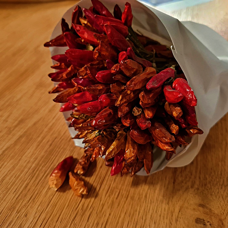 Getrocknete Chili-Schoten als Blumensträuß vom Mercato di Rialto in Venezia.
